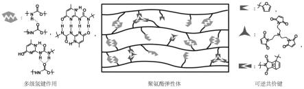 一种可修复增强的高性能聚氨酯弹性体及制备方法