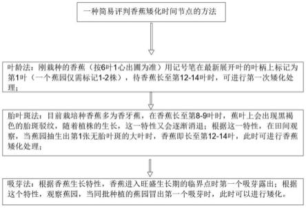 一种简易评判香蕉矮化时间节点及矮化效果的方法与流程