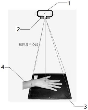 一种手部放射摄片摆位规范评判装置及系统