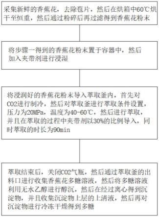 一种从香蕉花中提取降血糖香蕉花多糖的方法