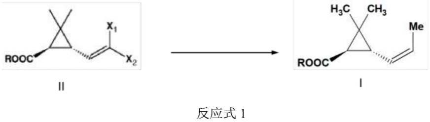 制备(1R,3R)-2,2-二甲基-3-(Z)-丙-1-烯-1-基)环丙烷羧酸和酯的简短而有效的方法与流程