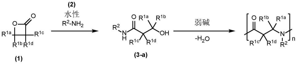 聚酰胺和其制造方法与流程
