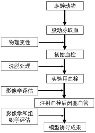 血栓制备方法及其应用