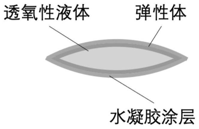 一种液囊形态角膜接触镜及其制造方法与流程