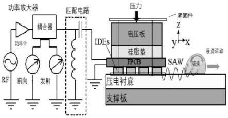 一种声表面波发生装置及基于该装置的生物细胞刺激方法与流程