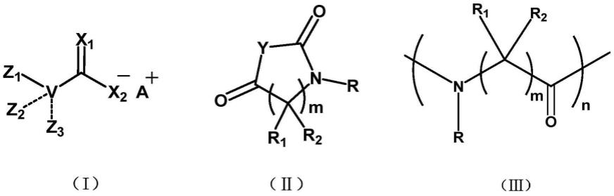 羧基盐引发环内酸酐单体的快速开环聚合方法