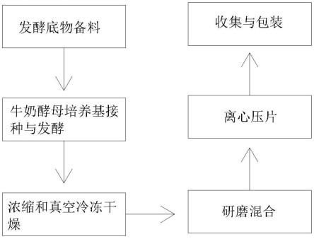 一种益生菌片剂制备装置及方法与流程