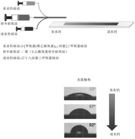 梯度玻璃状陶瓷结构及其自下而上的制备方法与流程