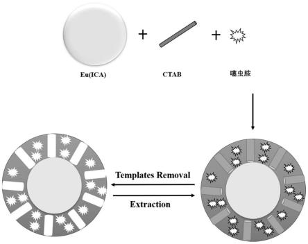 一种分子印迹荧光传感器及其制备与应用