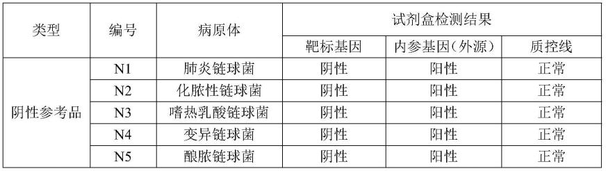 B族链球菌核酸检测试剂盒及其制造方法与流程