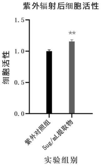 特纳草提取物在预防和/或修复紫外诱导的皮肤损伤中的应用的制作方法