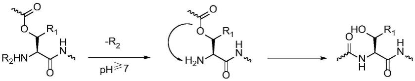 一种Tirzepatide的制备方法与流程