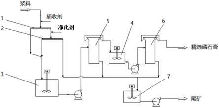 磷石膏除杂增白的组合浮选系统的制作方法