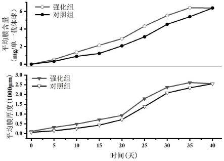 一种好氧反硝化组合菌剂及其制备方法和应用