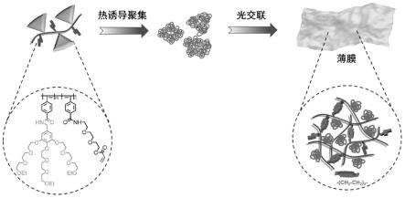 一种光辐照交联聚合反应诱导聚苯乙炔自组装成膜的方法