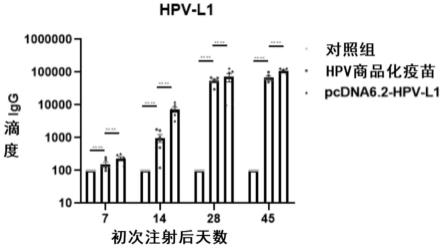 一种合成生物学自组装疫苗产生系统以及产生疫苗的方法