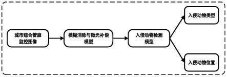 一种模糊消除及微光补偿的城市综合管廊内动物检测方法与流程