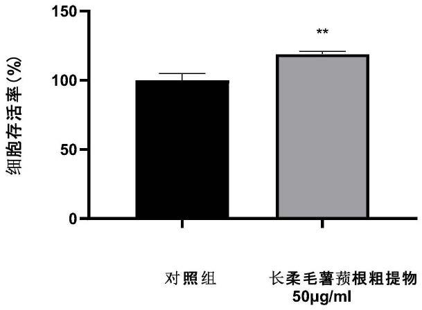 长柔毛薯蓣根提取物的美白用途的制作方法