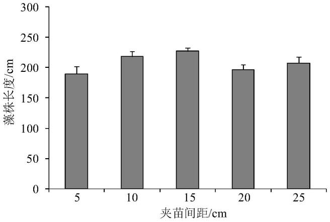 铜藻的培养方法与流程