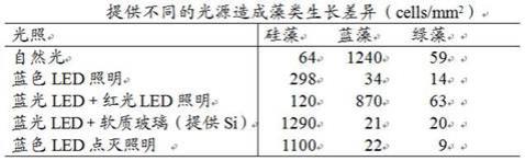 一种食藻类生物的藻类繁殖装置及其养殖方法