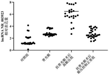 一种用于青光眼患者手术后血清lncRNA检测的引物与应用方法与流程