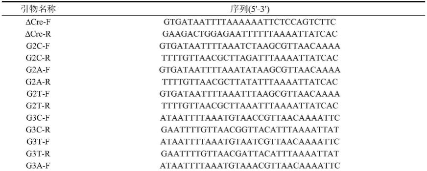 一种提高D-阿洛酮糖3-差向异构酶异源表达水平的方法