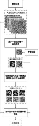 一种低成本高效的细胞核图像分割方法与流程