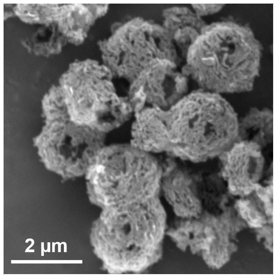 一种铜修饰的多孔空心球状石墨相氮化碳及其制法和应用
