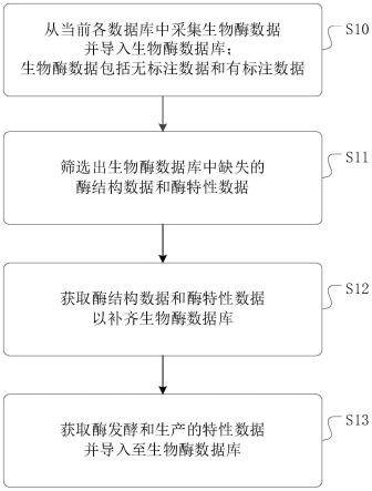 一种生物酶数据库的建立方法、装置、系统以及介质与流程