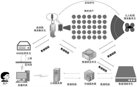 一种基于视频图像和无人机图像的果树资产统计系统的制作方法