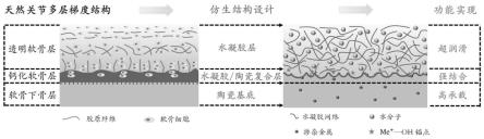 一种陶瓷人工关节对磨副制备方法