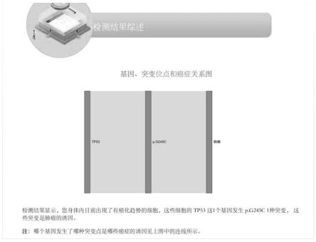 一种基于突变特征确定cfDNA组织来源的系统的制作方法