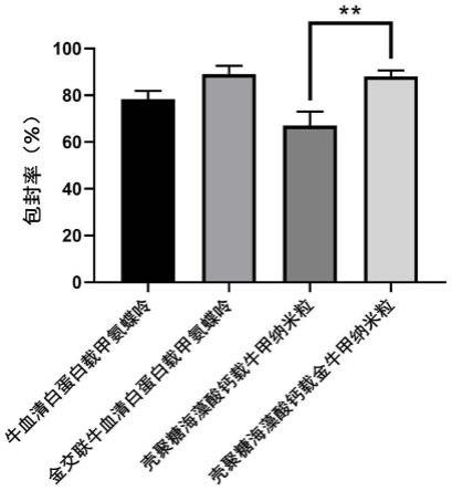 壳聚糖海藻酸钙纳米粒微球及其制备方法