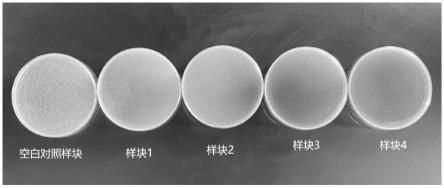 一种抗菌助剂、制备方法及双组分抗菌防霉环氧彩砂与流程