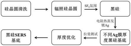 一种基于黑硅的表面增强拉曼光谱基底制备方法