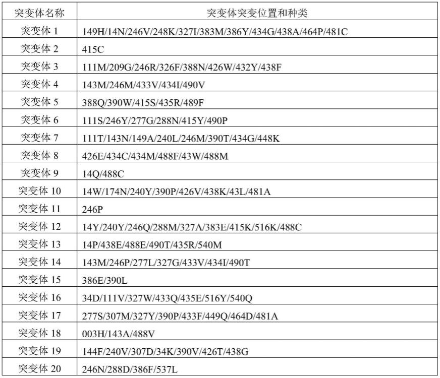 一种拜耳威利格单加氧酶突变体及其应用的制作方法