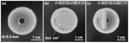 一种温度响应型水凝胶驱动器智能阀门的制备