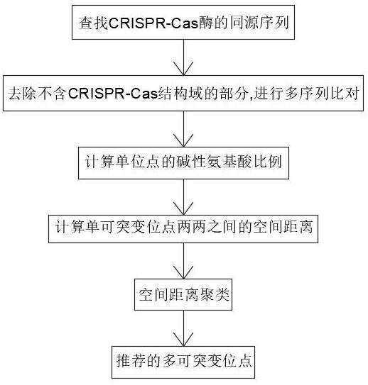 一种CRISPR-Cas酶可突变位点推荐方法和装置与流程