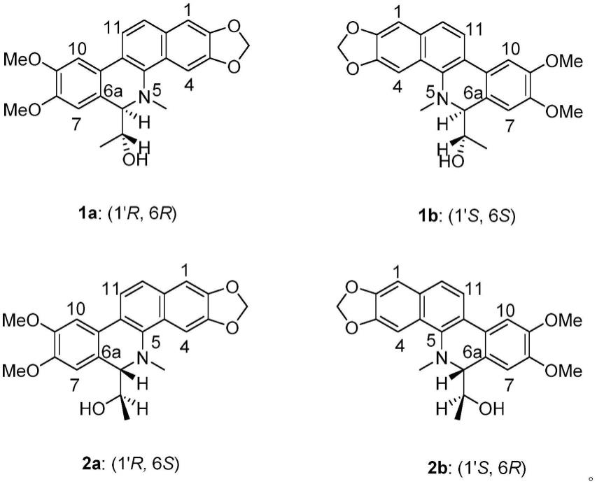 两面针中两对二氢苯并菲啶生物碱类化合物及其提取方法和应用