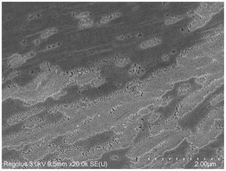 一种生物降解高分子纳米复合材料的加工方法