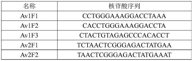 引物探针组合、试剂盒及其检测人ALK、ROS1基因融合的方法与流程