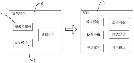 一种具有器官辅助识别和双目摄像头的支气管镜系统及使用、识别方法与流程