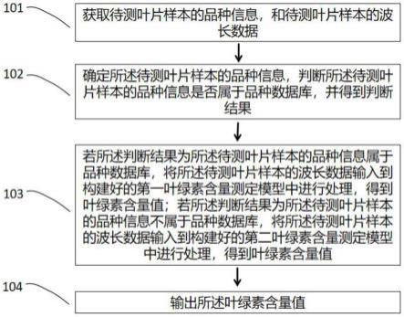 一种叶绿素含量测定方法及其系统与流程