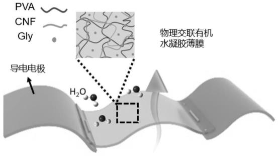 一种可拉伸、可自修复、透气的湿度传感器及其制备方法