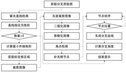 一种茄子茎夹角无损检测方法