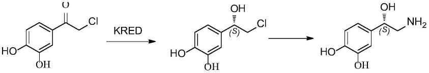 一种用于制备(S)-3,4-二羟基-2’-氯苯乙醇的酮还原酶突变体的制作方法