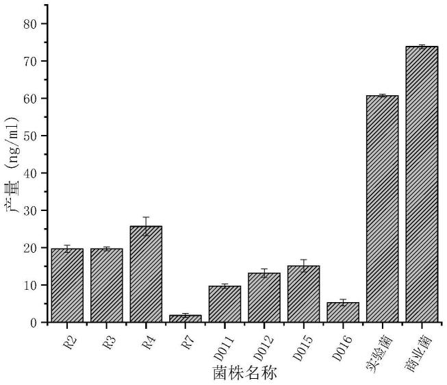 一株罗伊氏乳杆菌及其应用的制作方法