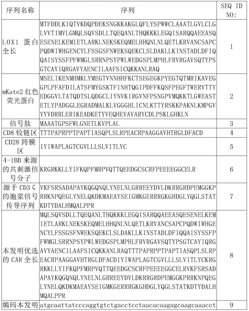 一种基于LOX1构建的嵌合抗原受体免疫细胞制备及其应用