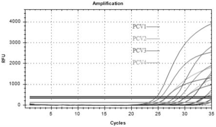 猪圆环病毒Taqman多重荧光定量PCR检测方法