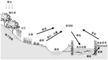 一种流水坑塘养鱼系统及应用方法